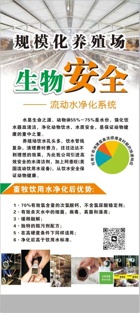 流动水净化系统
