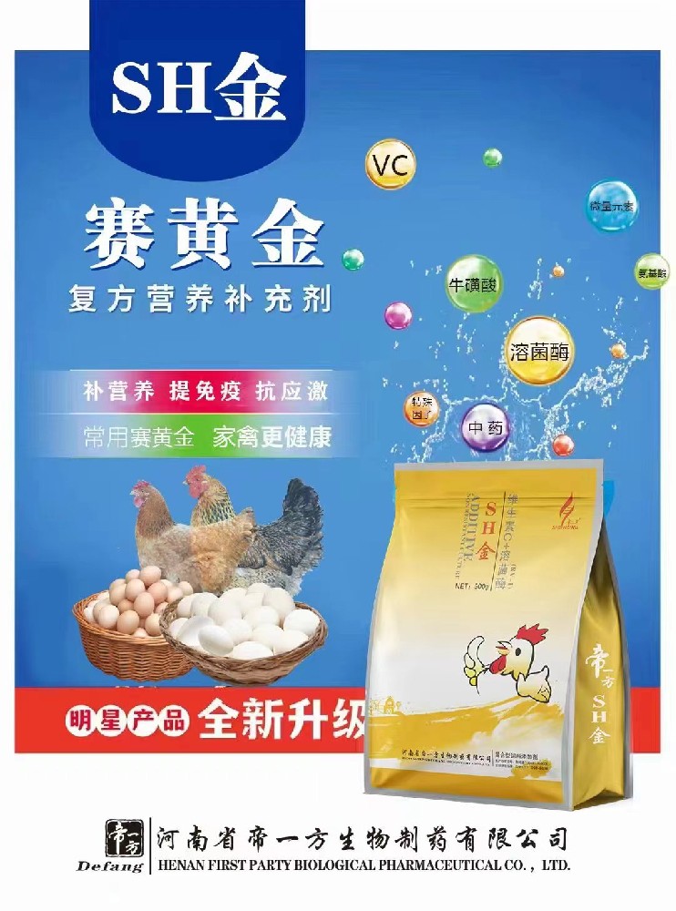 赛黄金